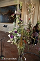 VBS_0088 - Corollaria Flower Exhibition 2022
